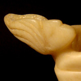 FEMME NUE DANS SON BAIN